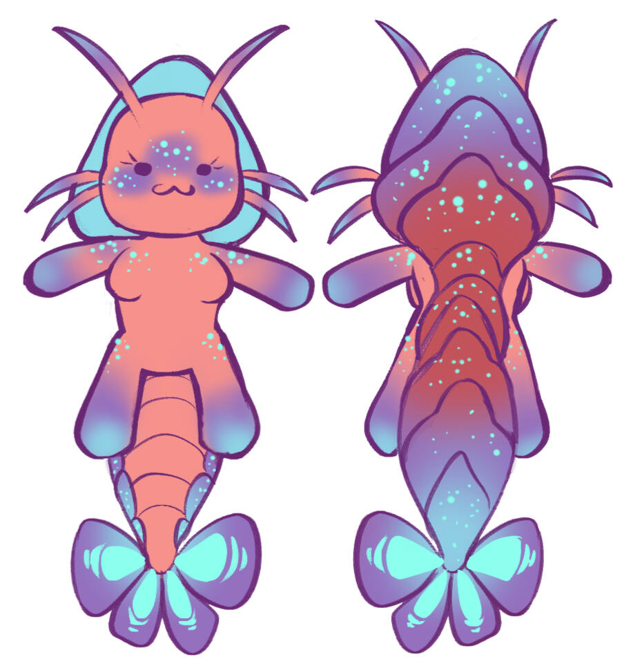 Color/patterns reference